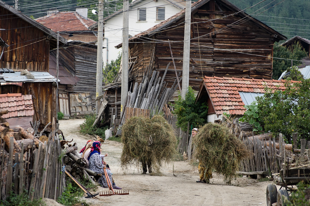 bakaskie klimaty
