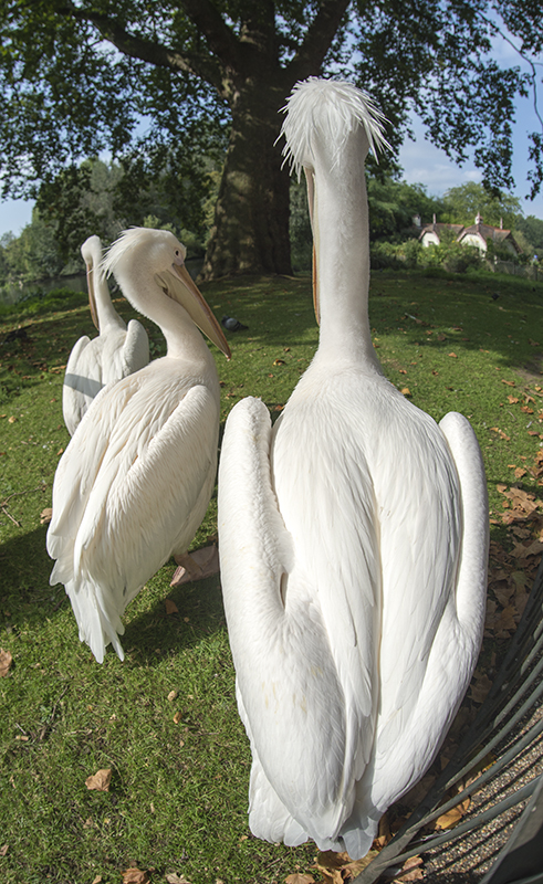 Na pewno nie jestem selfish :)