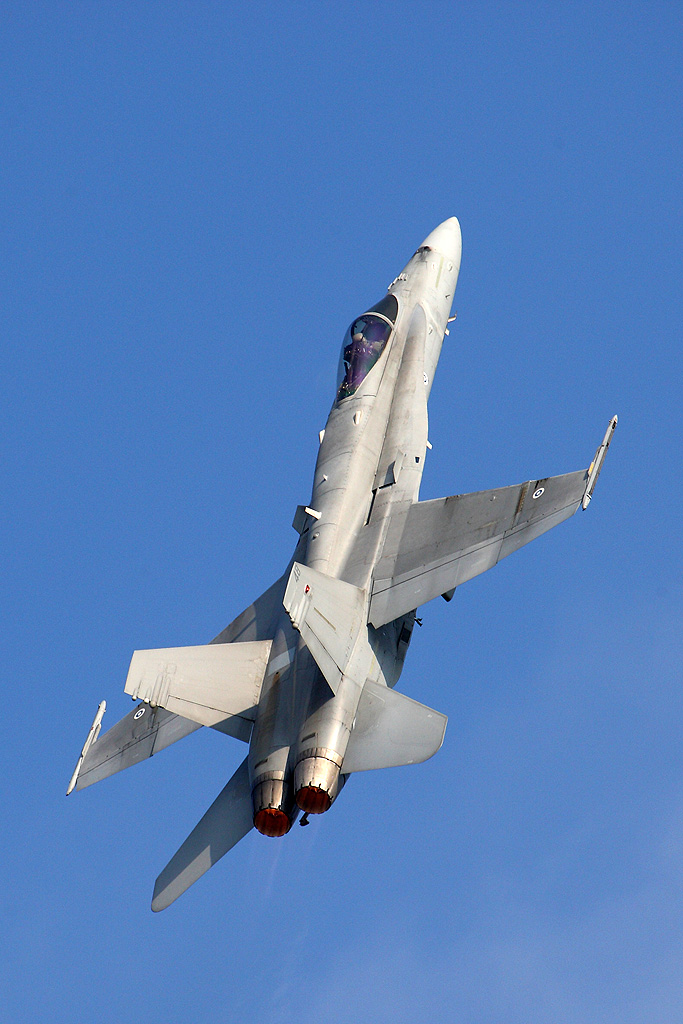 Hornet